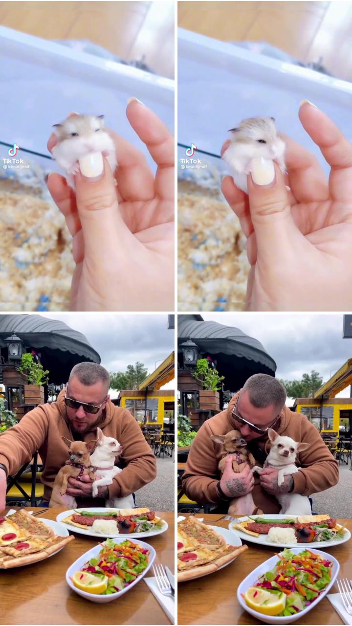 Enjoying breakfast with daddy; cute small animals