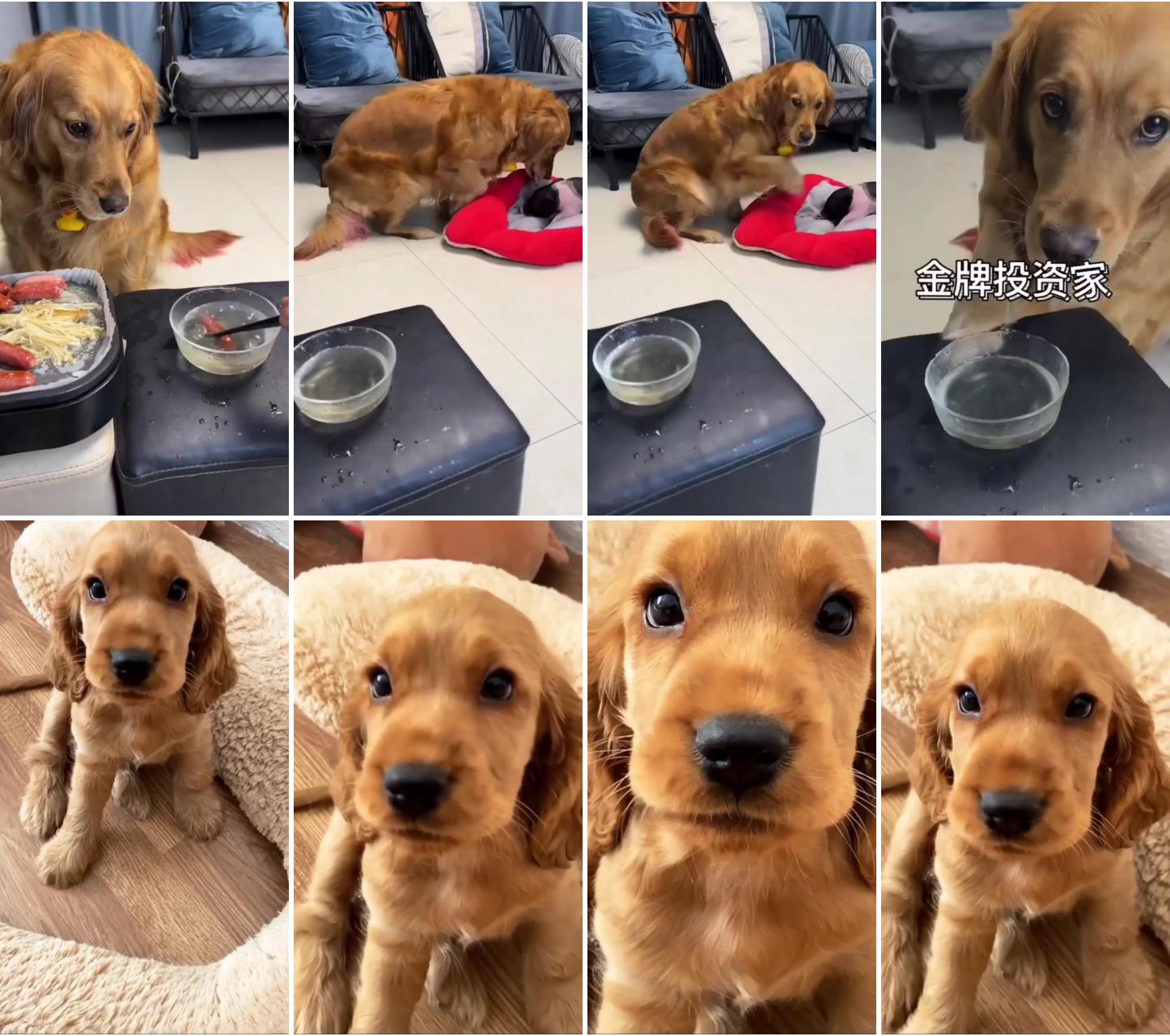 He knows how to share food; this will surely melt your heart