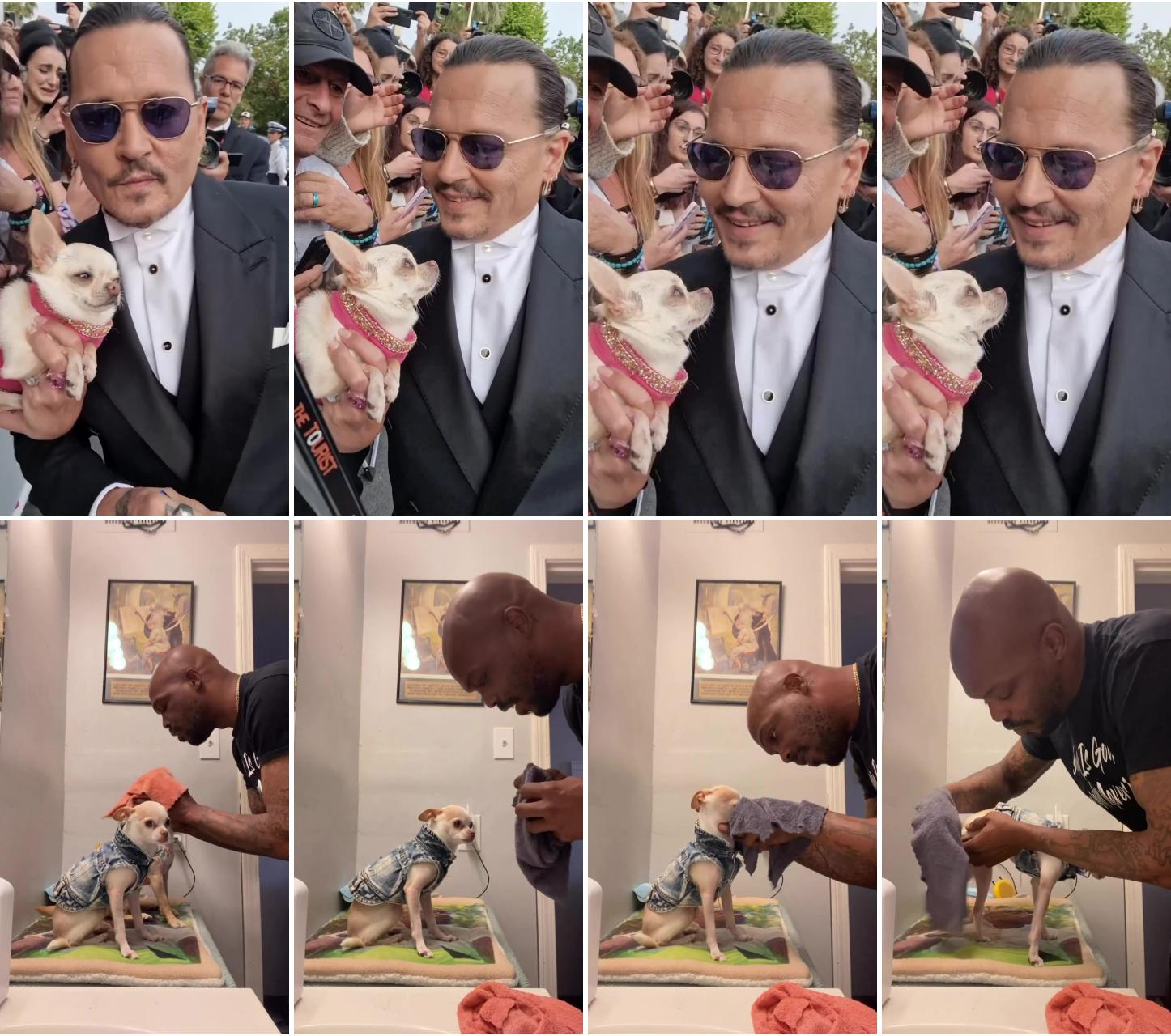 Johnny depp is also chihuahua lover; let's get the day started 