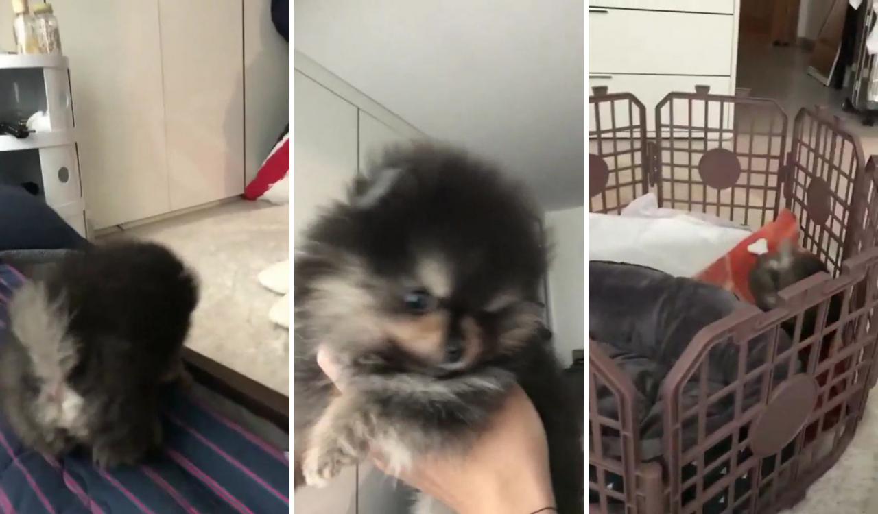 Yeontan; kim taehyung funny