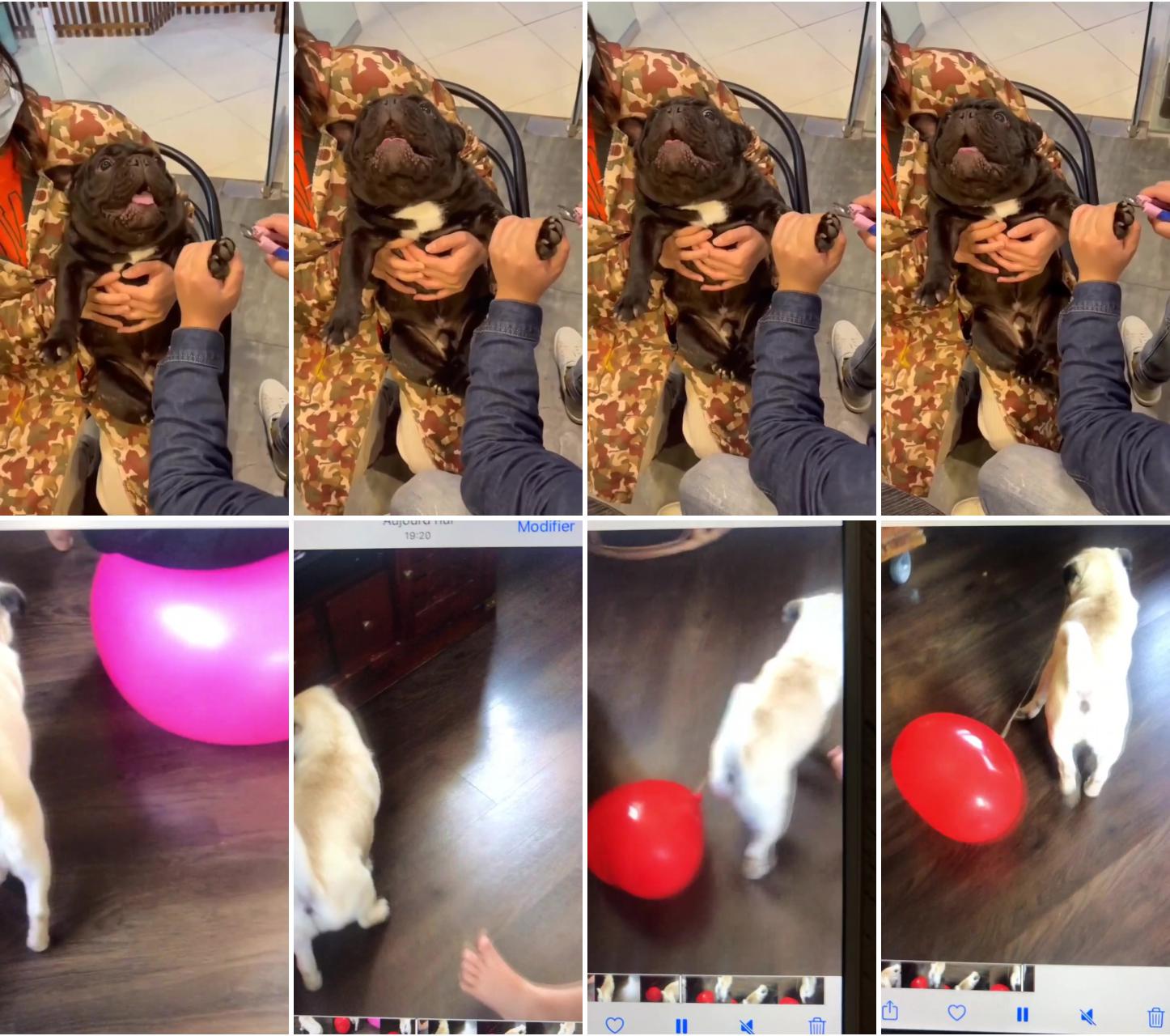  can anyone compete with him as an actor ; and to think that not so long ago she was afraid of balloons 