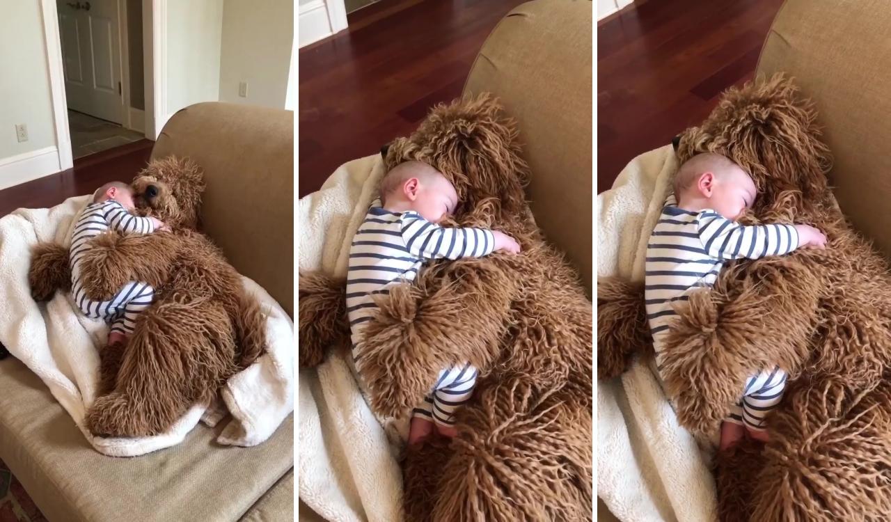 Cute baby and dog cozy cuddle; baby animals