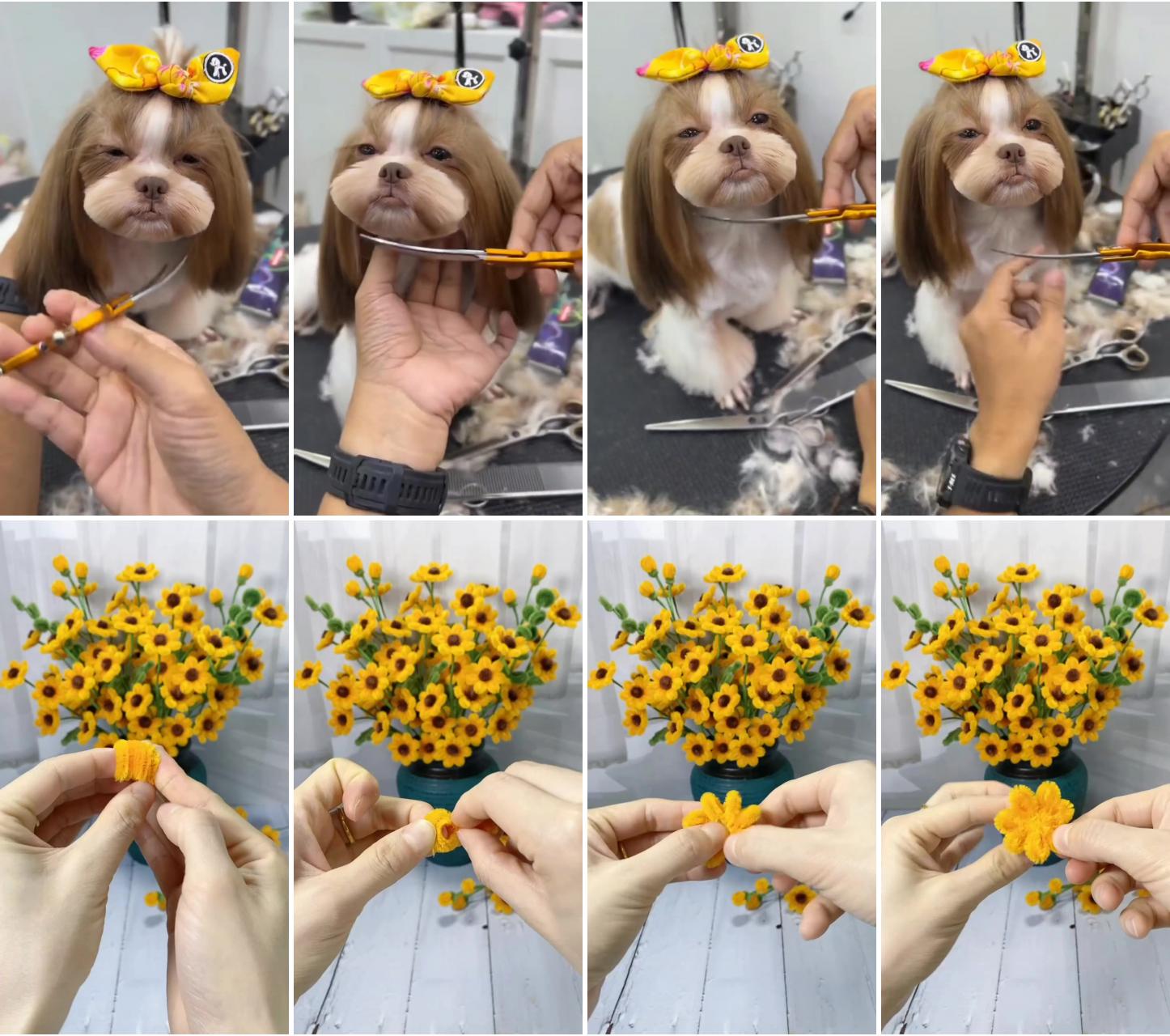 Cute puppy haircut; beautiful diy yellow flowers