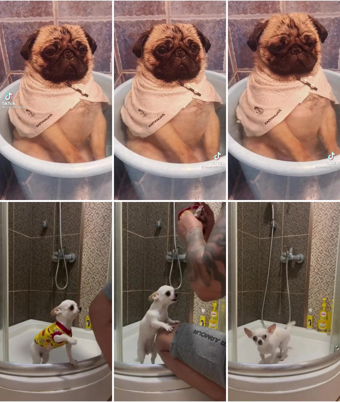 So cute; adorable...bath time