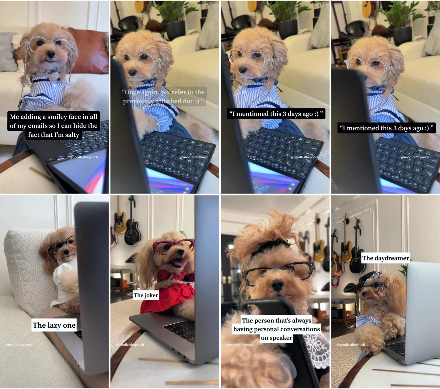 The types of people in an office part 1 which one are you; cute little animals