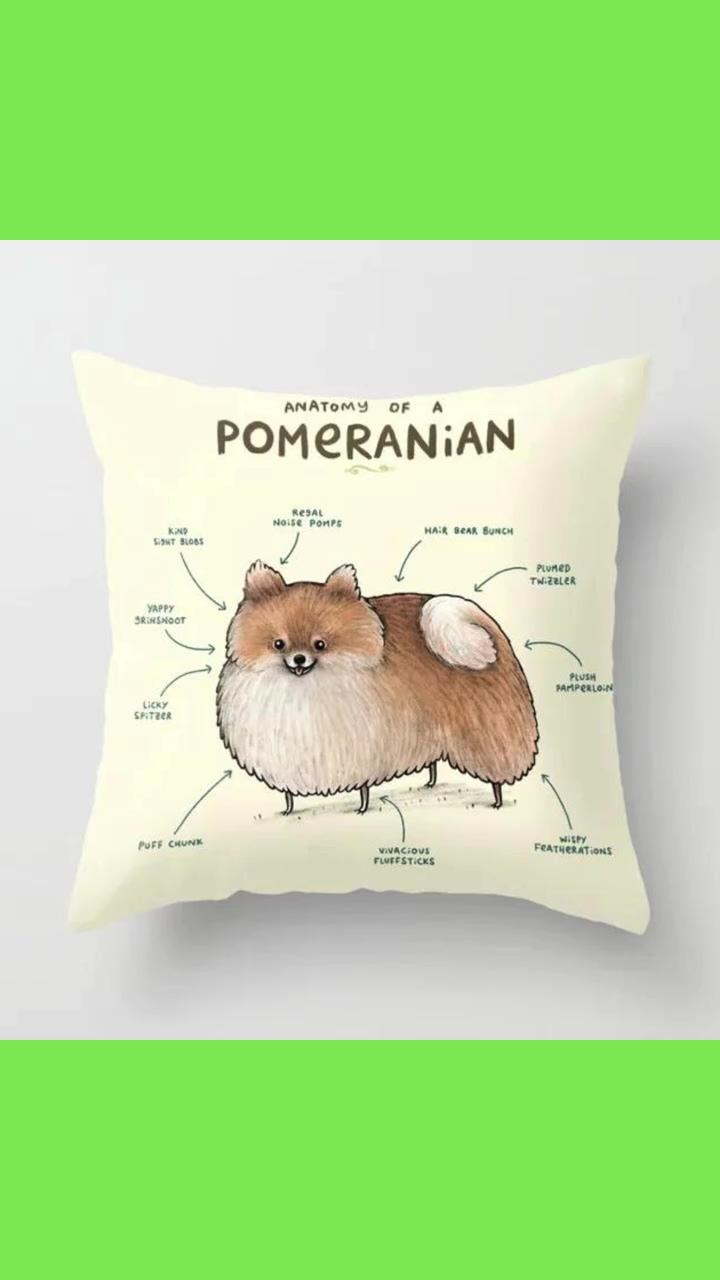 Anatomy of a pomeranian throw pillow; pet bed camo gray
