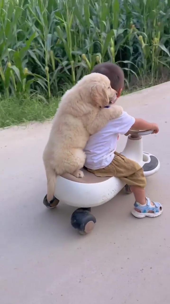 Awww a boy and his dog, that is so adorable ; baby animals