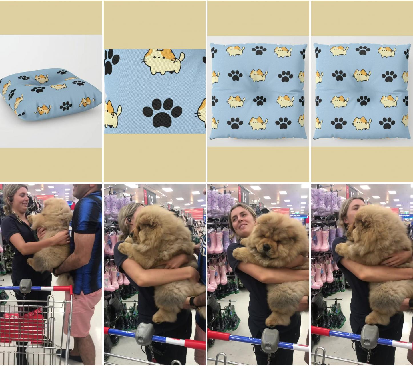 Cat bed paw prints with cats; joyful chow puppy enjoys being carried by hooman, beautiful and gorgeous canine happiness 