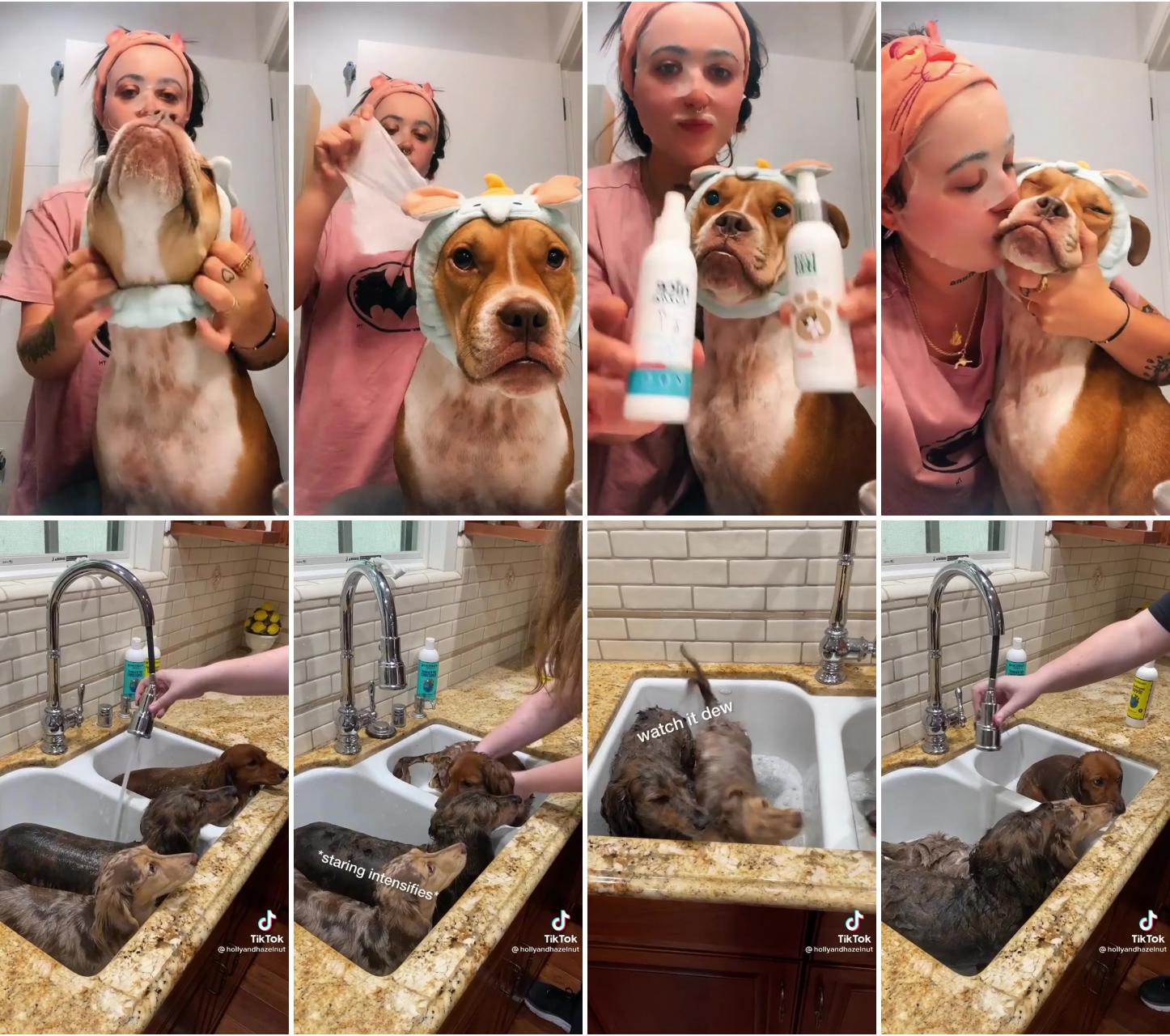 Skincare routine con maya #tiktokdog #skincareroutine #fyp; super cute animals