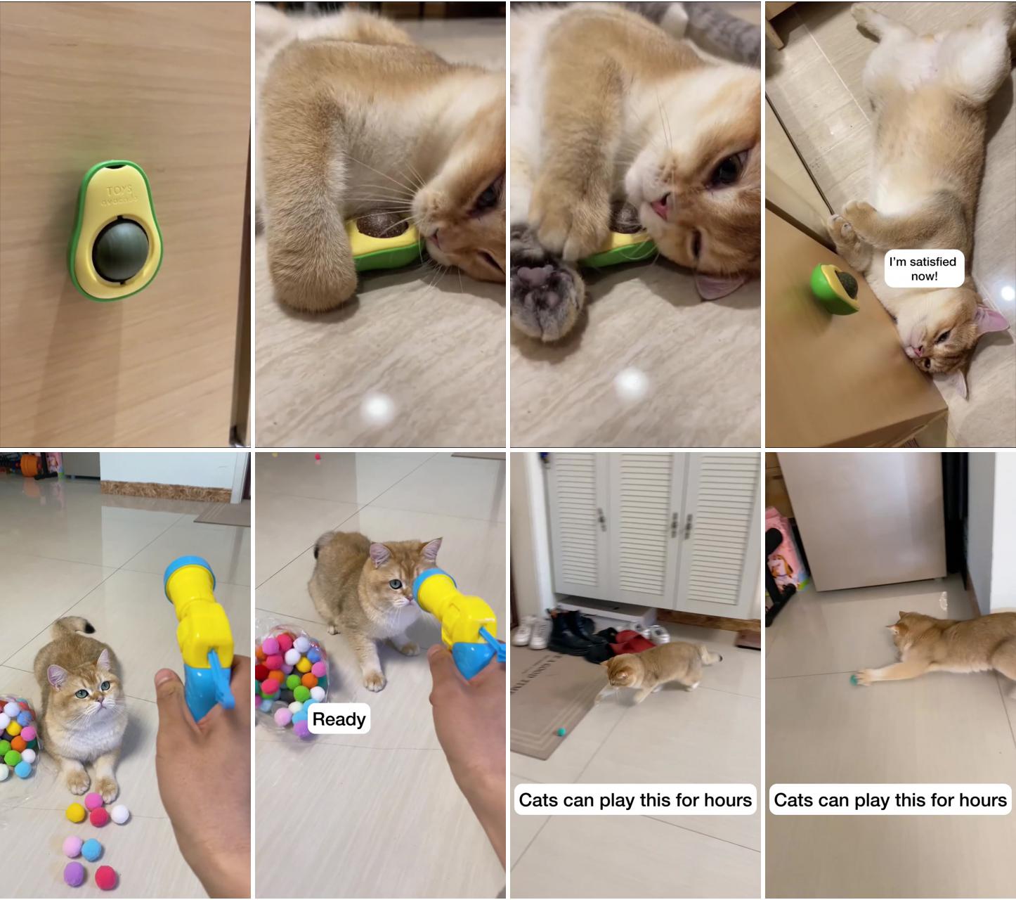 Avocado catnips cat toys - pawpycup; cat toy pom pom balls launcher interactive toys for indoor cats - pawpycup