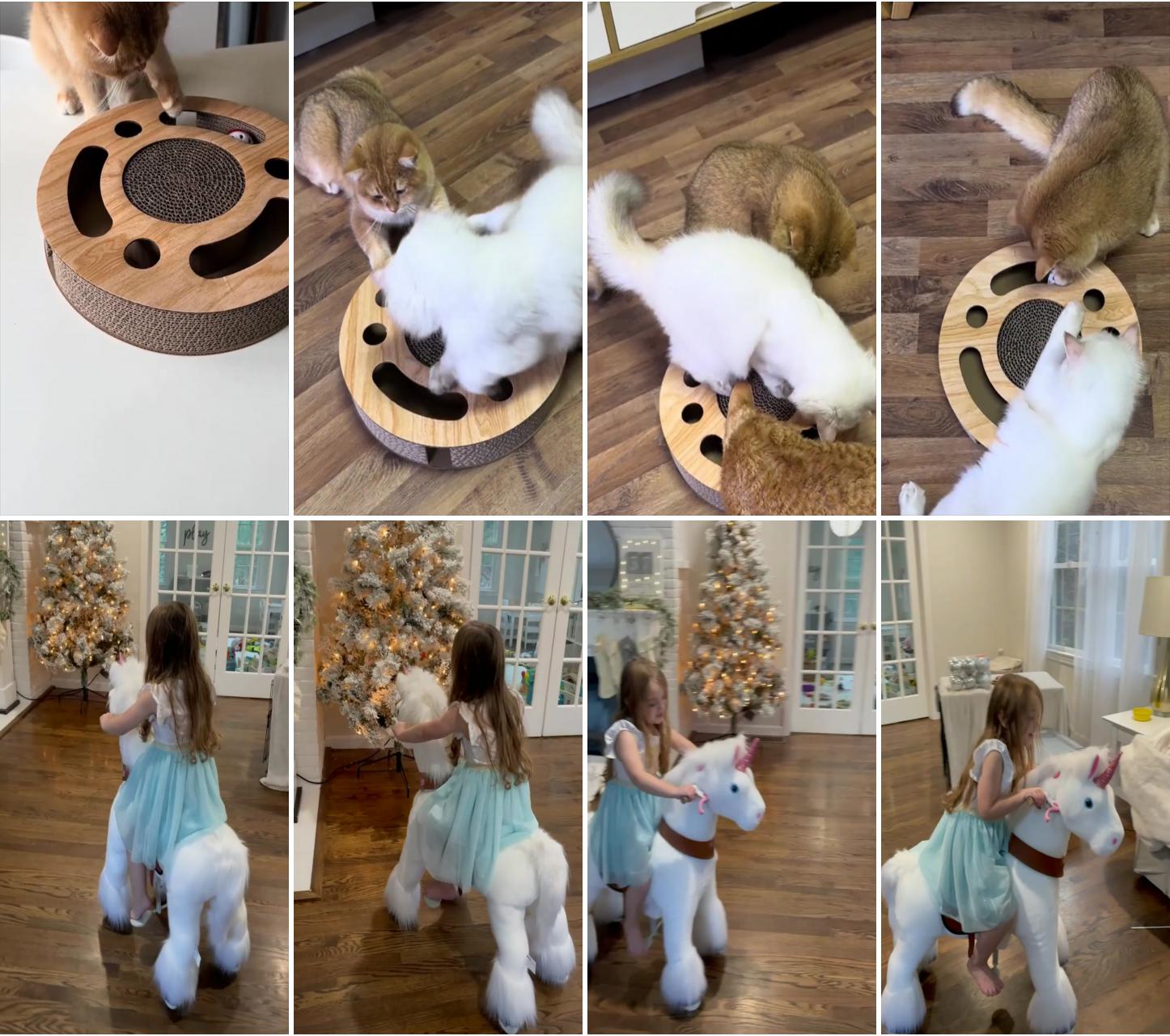 Interactive maze and scratch cardboard cat toys - pawpycup; best holiday gift unicorn