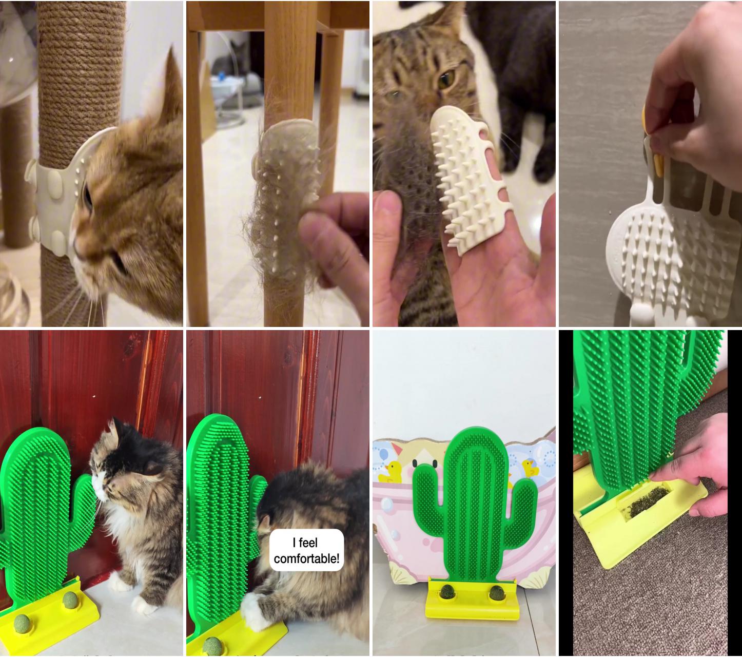 Silicone cat self groomer massage brush - pawpycup; cactus cat groomer brush with catnip - pawpycup